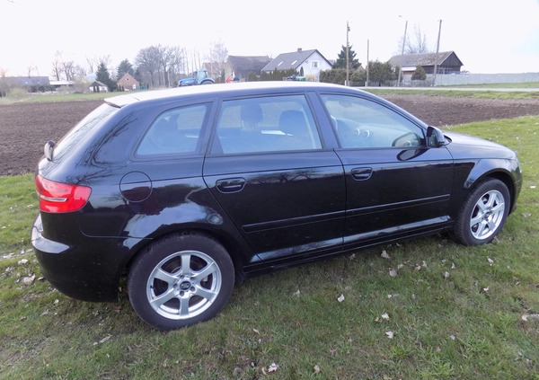 Audi A3 cena 26900 przebieg: 164000, rok produkcji 2010 z Szprotawa małe 407